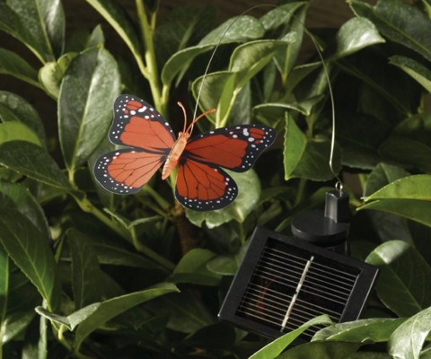 An eye-catching solar powered butterfly makes a wonderful garden feature. Each pack contains a pair of butterflies, one yellow, one red.